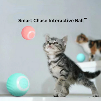 Smart Chase Interactive Ball™